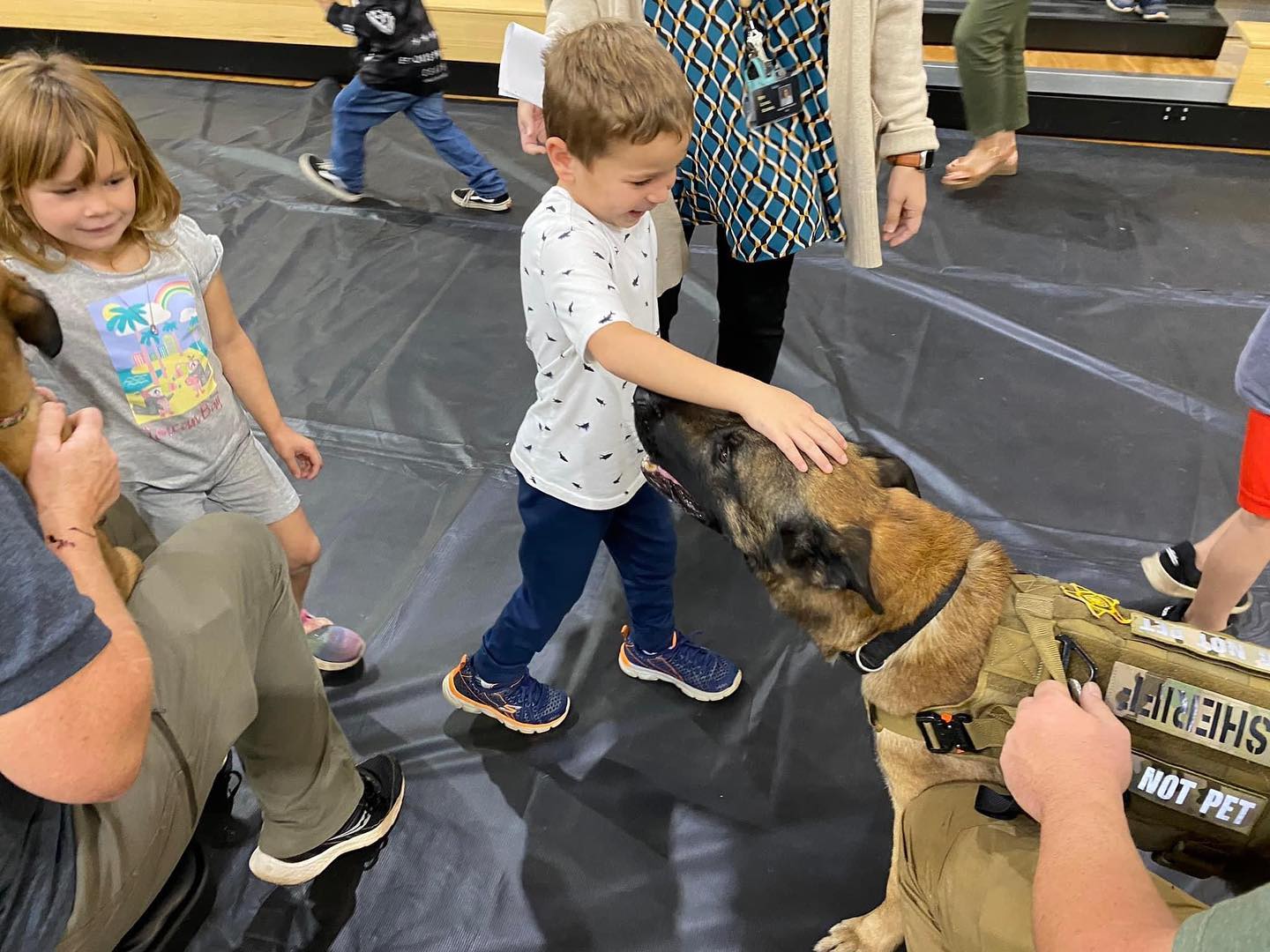 Young child petting a trained school safety K9 german shepherd supervised by a teacher with other students in the background.